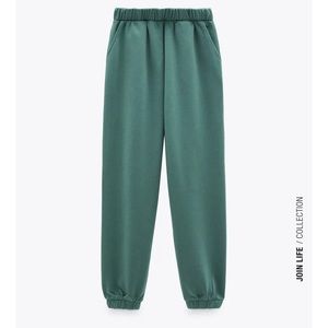 Zara Plush Sweatpant Joggers
